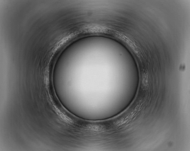 X0000101180629200806271252