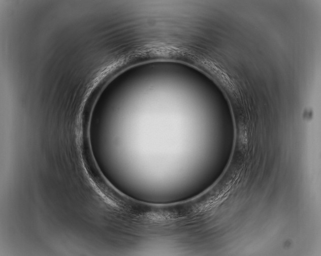 X0000101180630200806271252