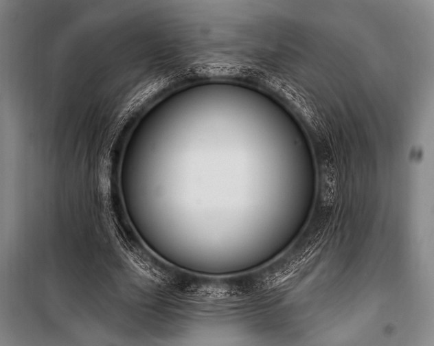 X0000101180631200806271252
