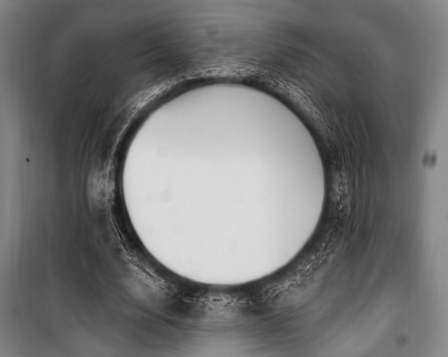 X0000101180632200806271252