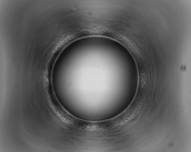 X0000101180634200806271252