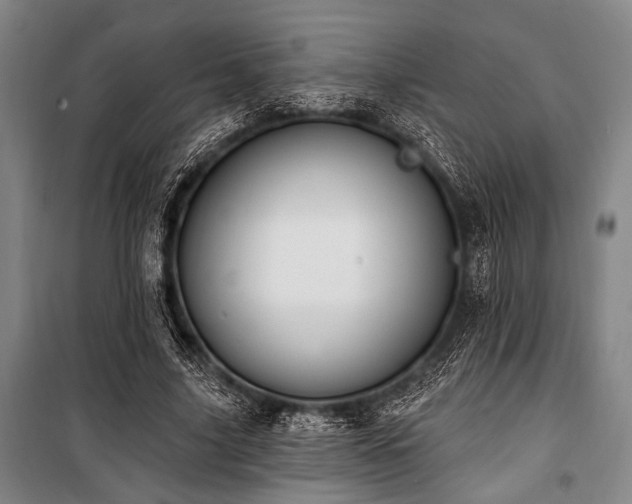 X0000101180635200806271252