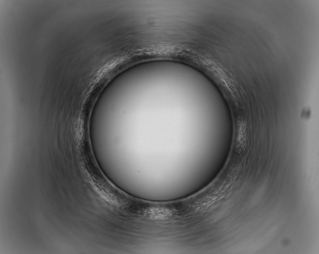 X0000101180636200806271252