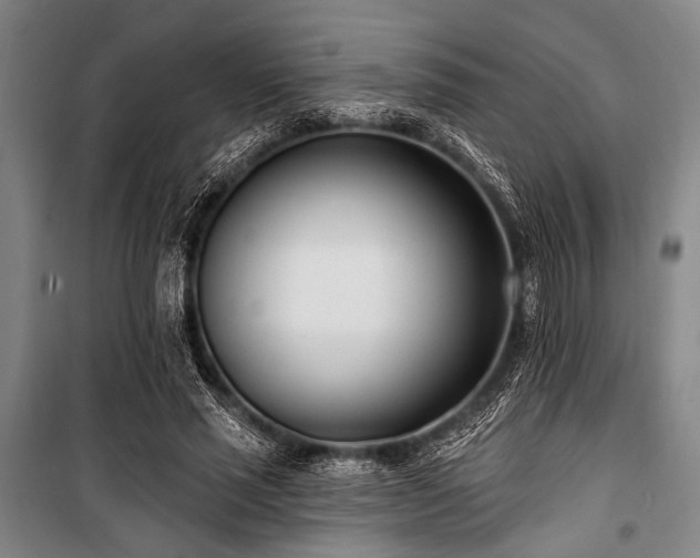 X0000101180637200806271252