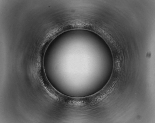 X0000101180638200806271252