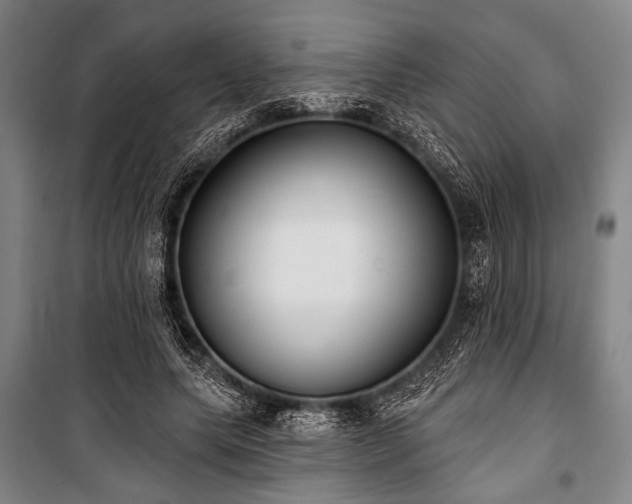 X0000101180639200806271252