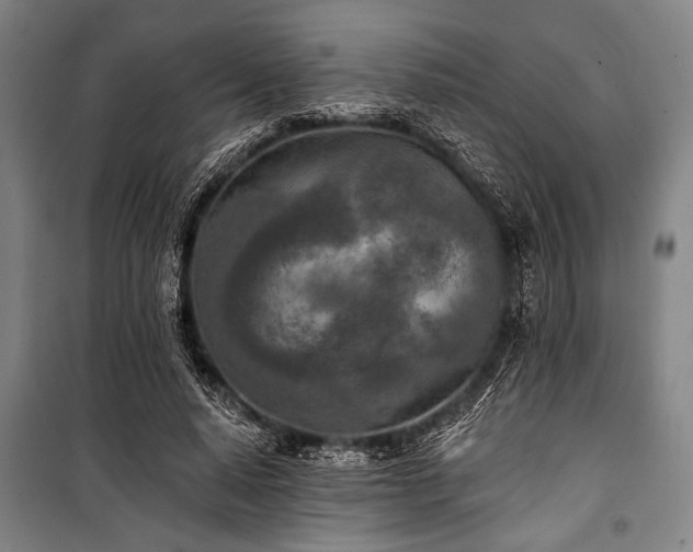 X0000101180640200806271252