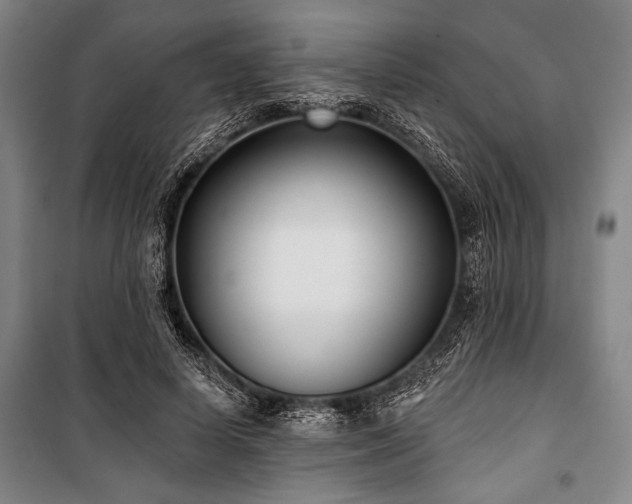X0000101180642200806271253
