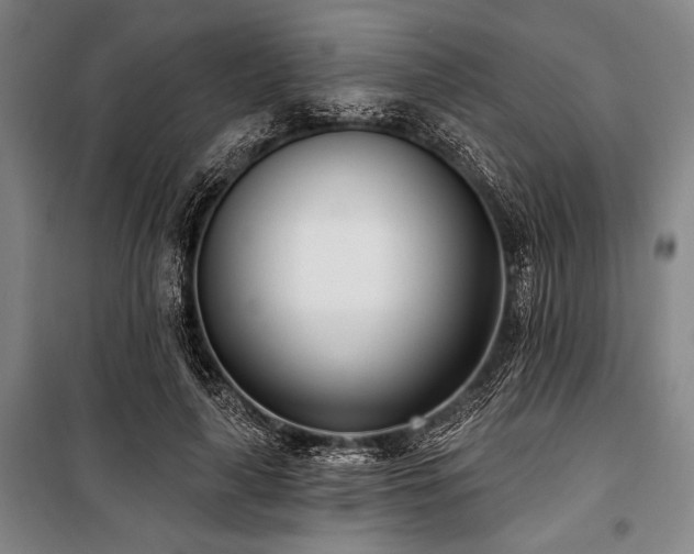 X0000101180643200806271253