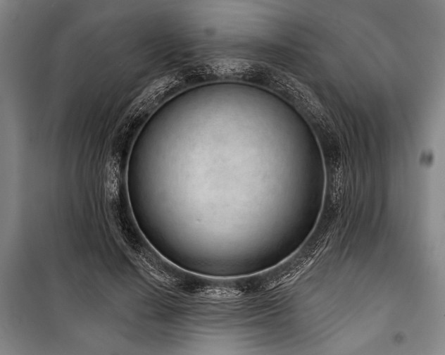 X0000101180644200806271253