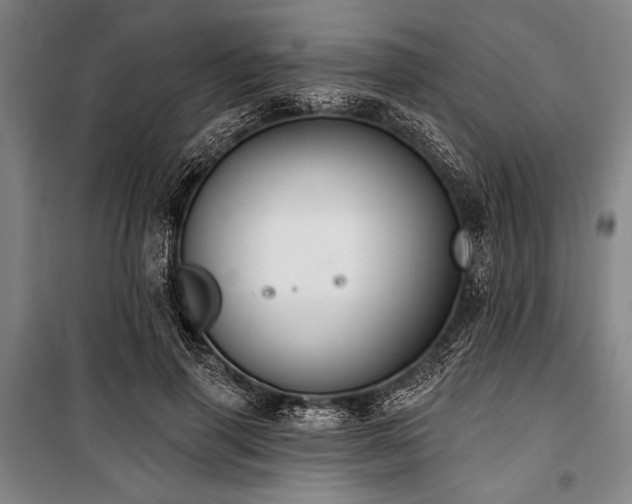X0000101180645200806271253