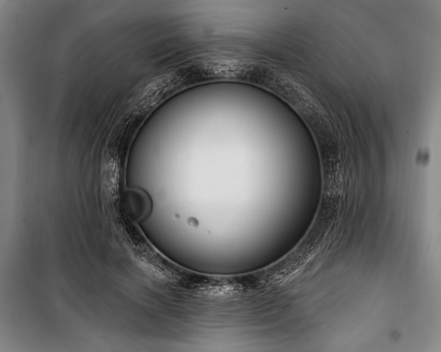 X0000101180646200806271253