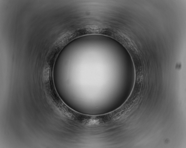 X0000101180647200806271253