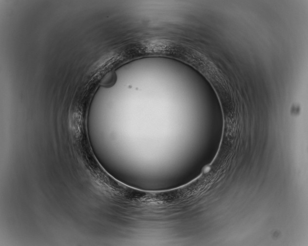 X0000101180648200806271253