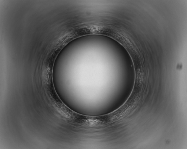 X0000101180650200806271253