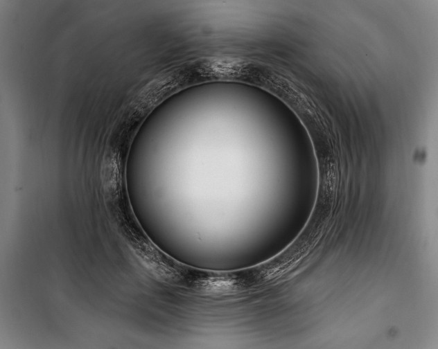 X0000101180651200806271253
