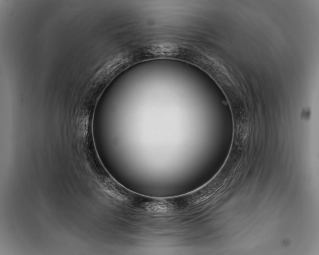 X0000101180652200806271253