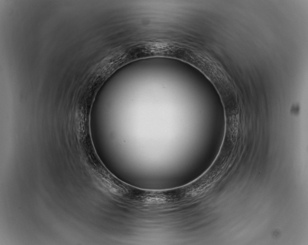 X0000101180653200806271253