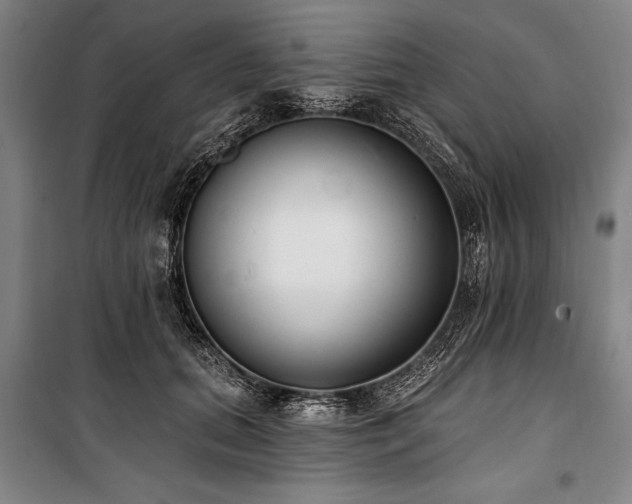 X0000101180655200806271253