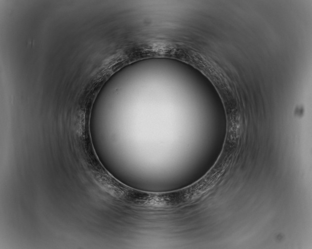 X0000101180656200806271253
