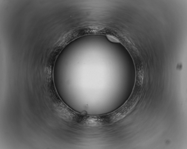 X0000101180657200806271253