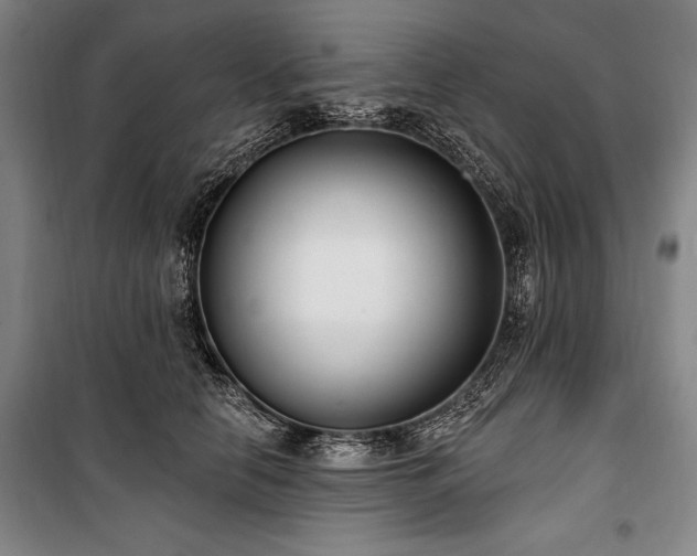 X0000101180658200806271253