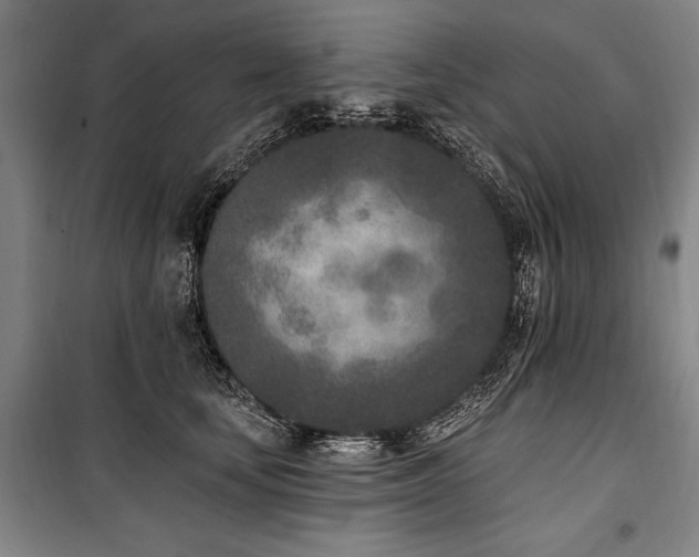 X0000101180659200806271253