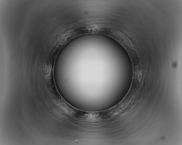 X0000101180660200806271253