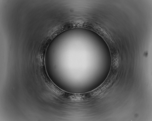 X0000101180661200806271253