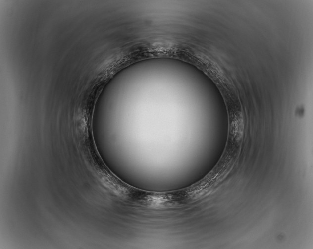 X0000101180662200806271253