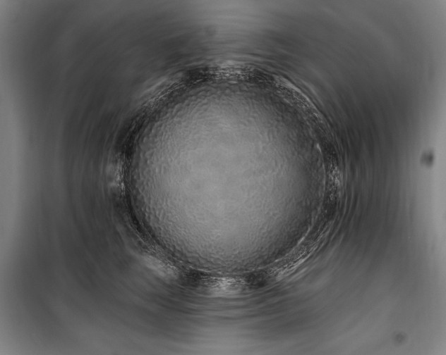 X0000101180663200806271253