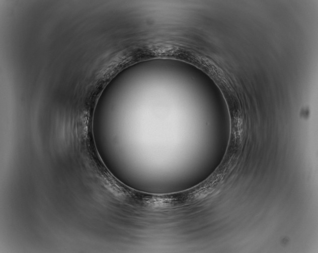 X0000101180664200806271253