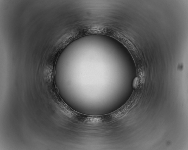 X0000101180665200806271253