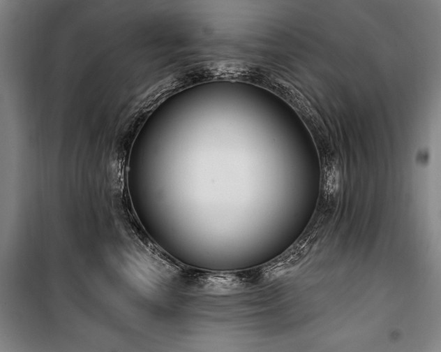 X0000101180666200806271253