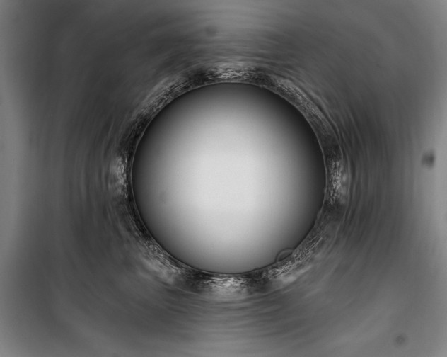 X0000101180667200806271253