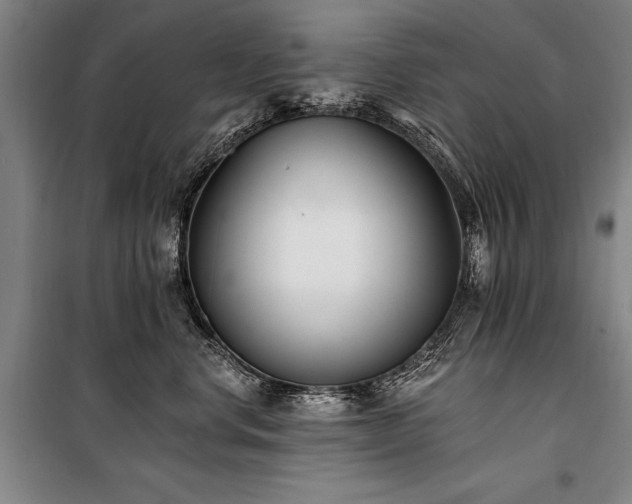 X0000101180668200806271253