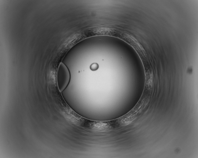 X0000101180669200806271253
