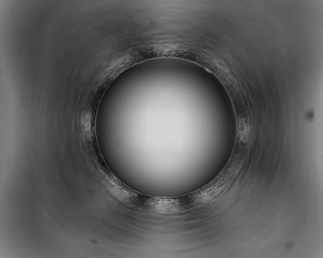 X0000101180670200806271253