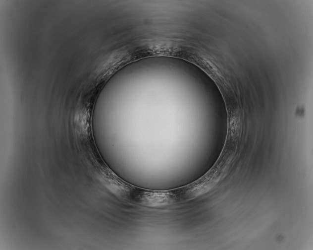 X0000101180671200806271253