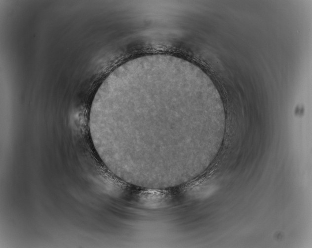 X0000101180672200806271253