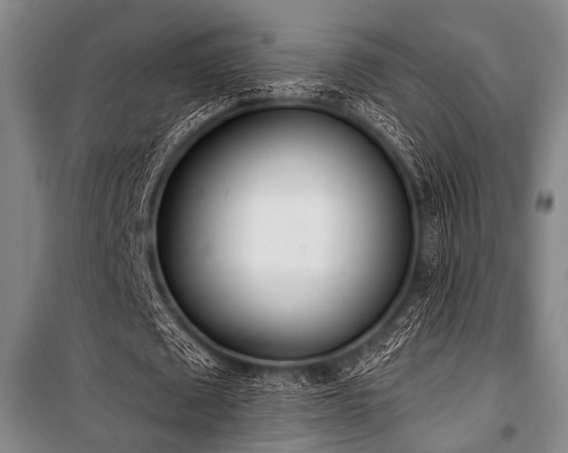 X0000101180673200806271252