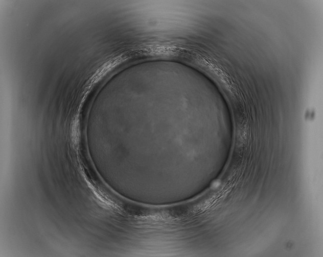 X0000101180674200806271252