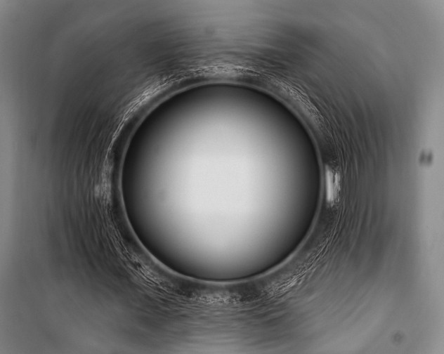 X0000101180675200806271252