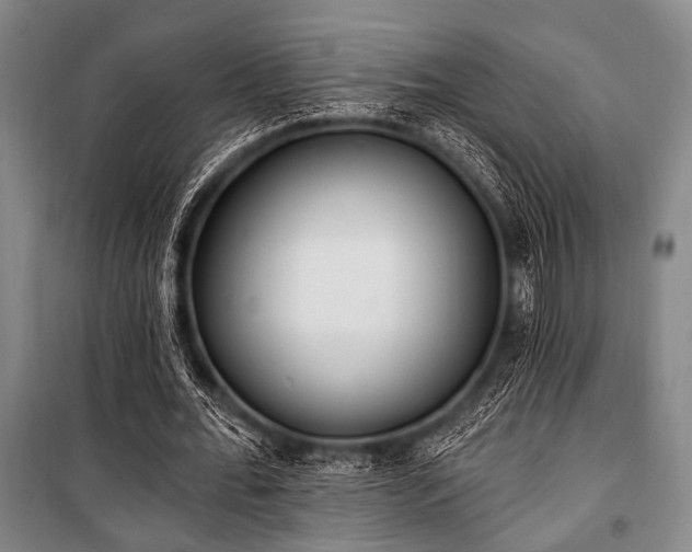 X0000101180676200806271252