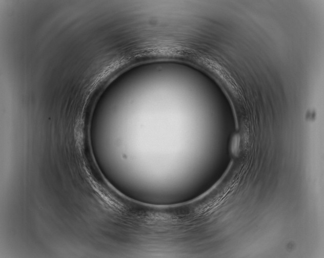X0000101180677200806271252