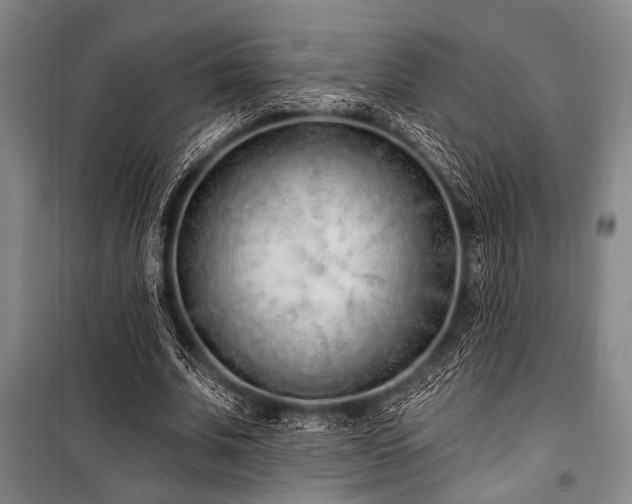 X0000101180679200806271252