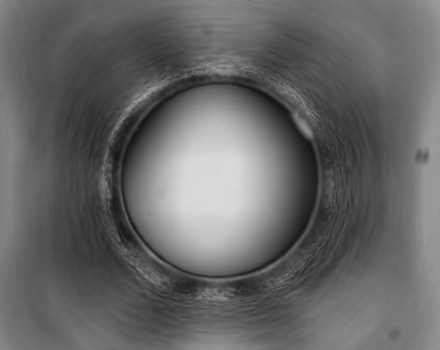 X0000101180680200806271252