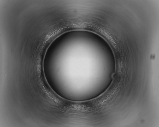 X0000101180681200806271252