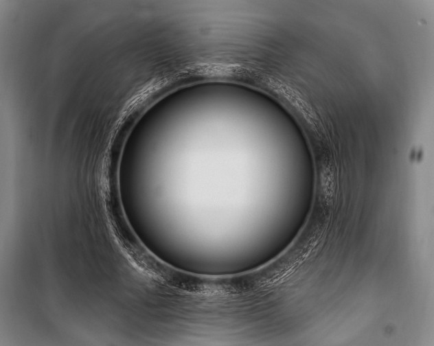X0000101180682200806271252