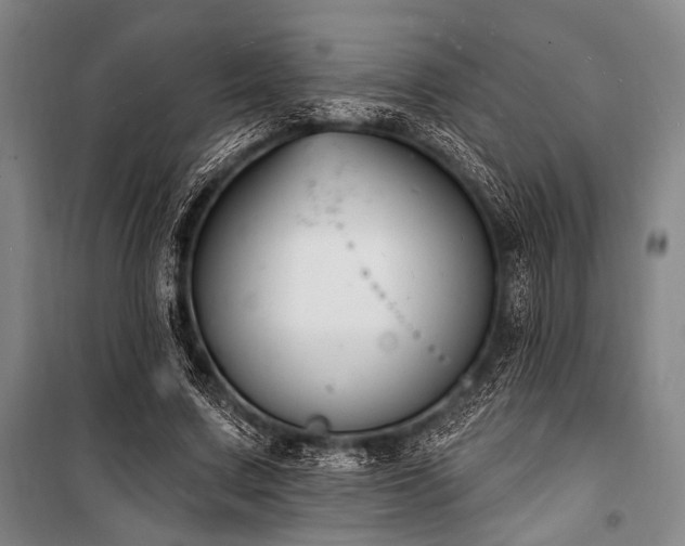 X0000101180683200806271252